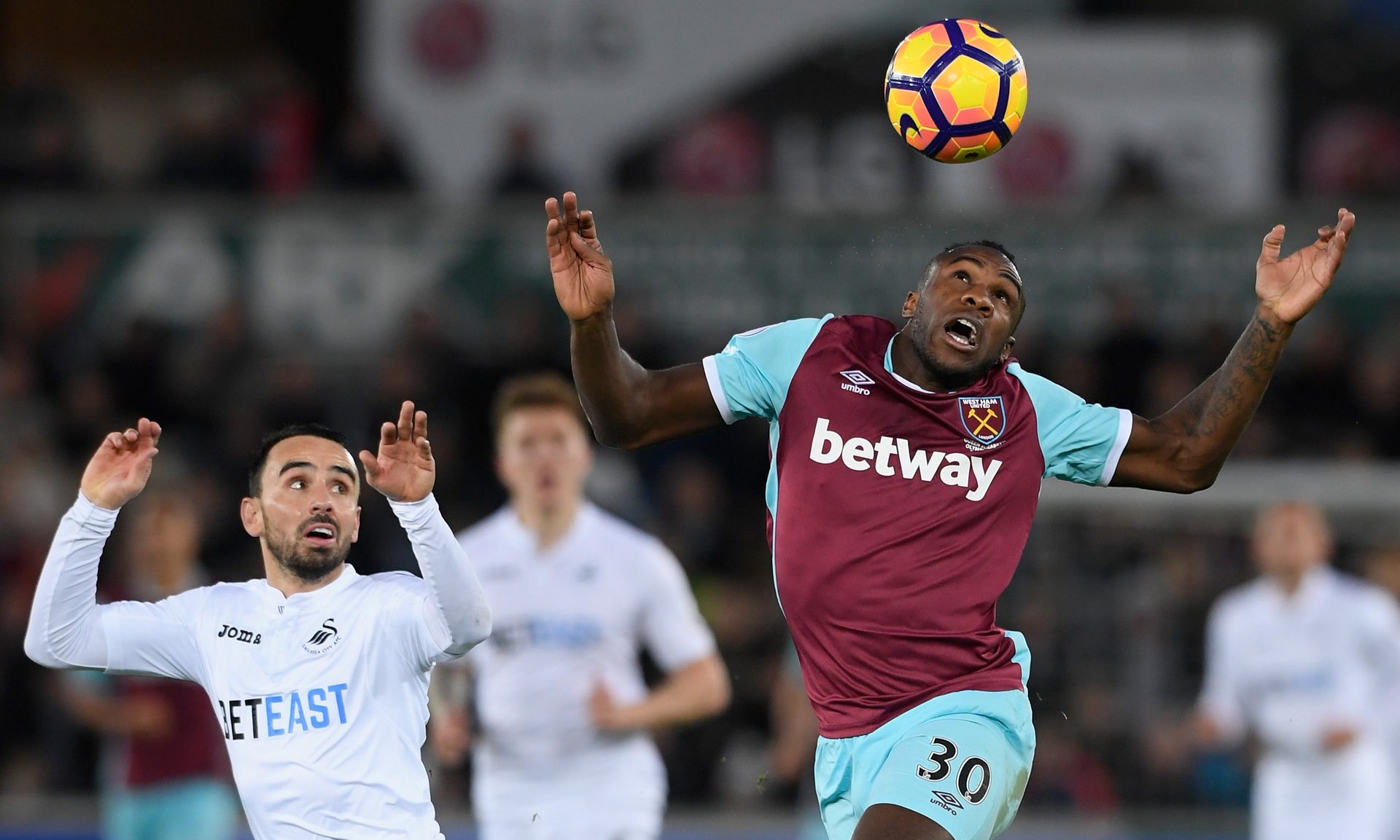 总能迅速抓 总能迅速抓