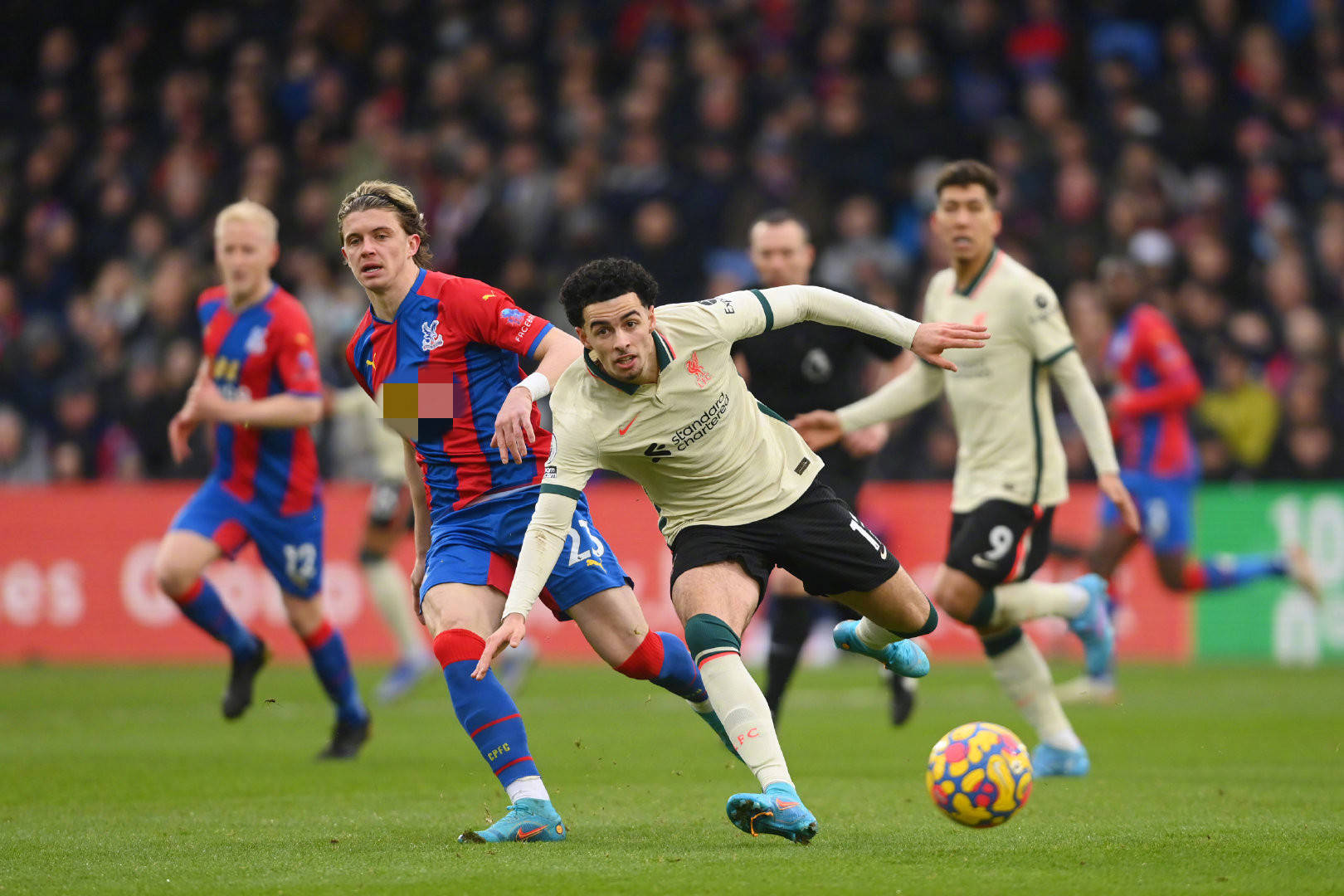 王者雅繁 王者雅繁